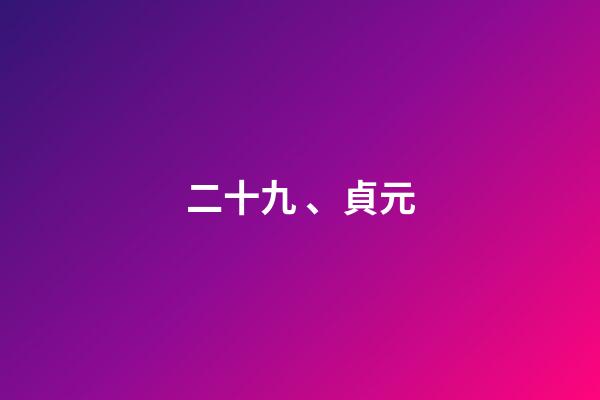 二十九、貞元